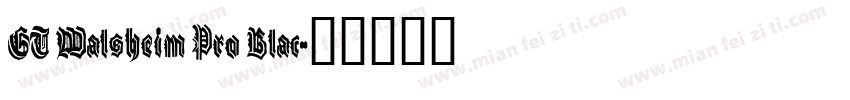 GT Walsheim Pro Blac字体转换